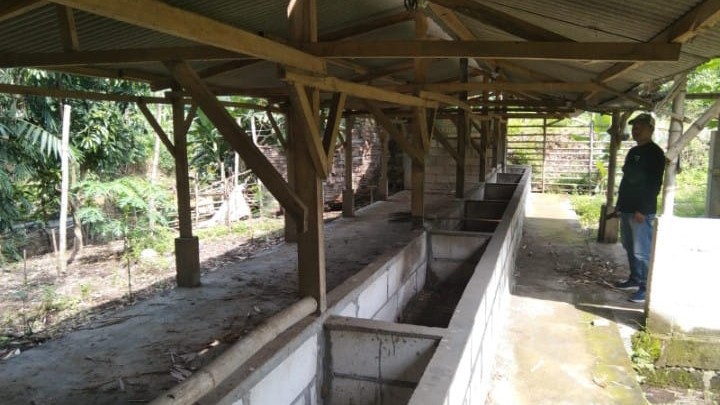 Kandang Sapi Program Ketahanan Pangan Desa Bening Jadi Sorotan Masyarakat