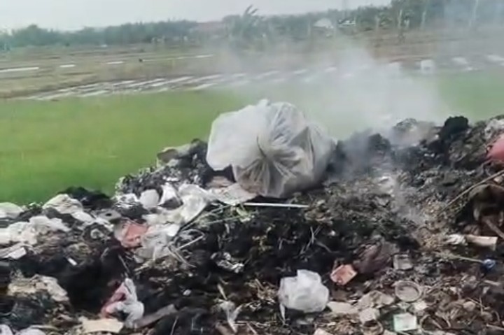 TKD Dijadikan Tempat Pembakaran Limbah, Amin Kurniawan Sekretaris DLH: Dari Sisi Aturan itu Tidak Diperkenankan